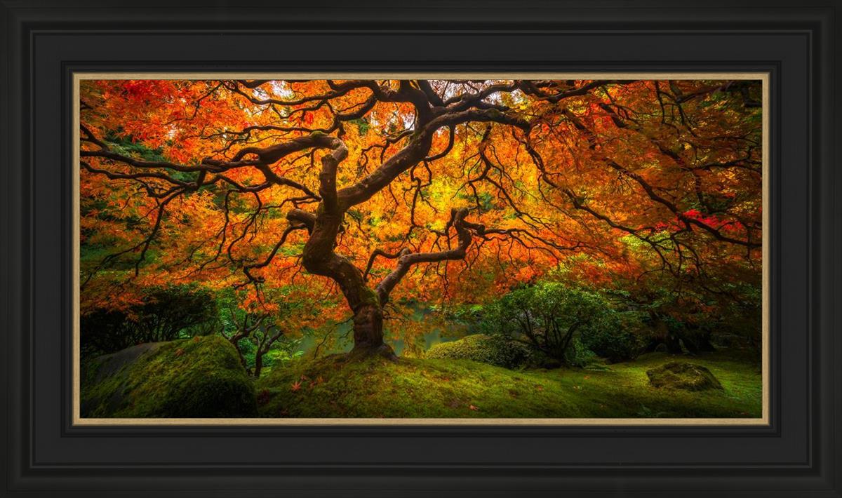 Tree of Perspective