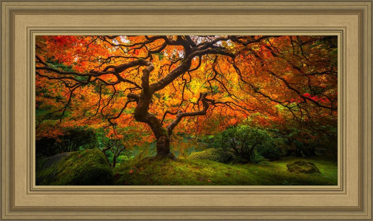 Tree of Perspective