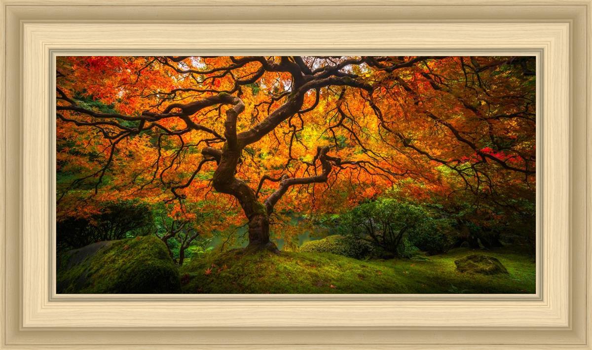 Tree of Perspective