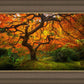 Tree of Perspective