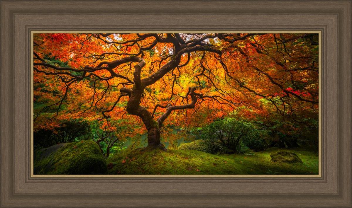 Tree of Perspective