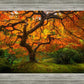 Tree of Perspective