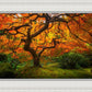 Tree of Perspective