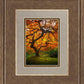Tree of Perspective Vertical