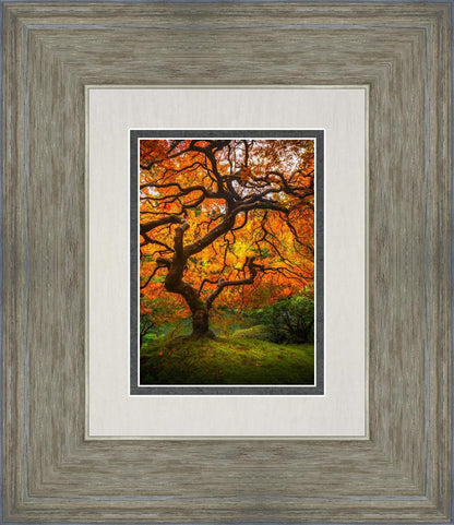 Tree of Perspective Vertical