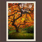 Tree of Perspective Vertical