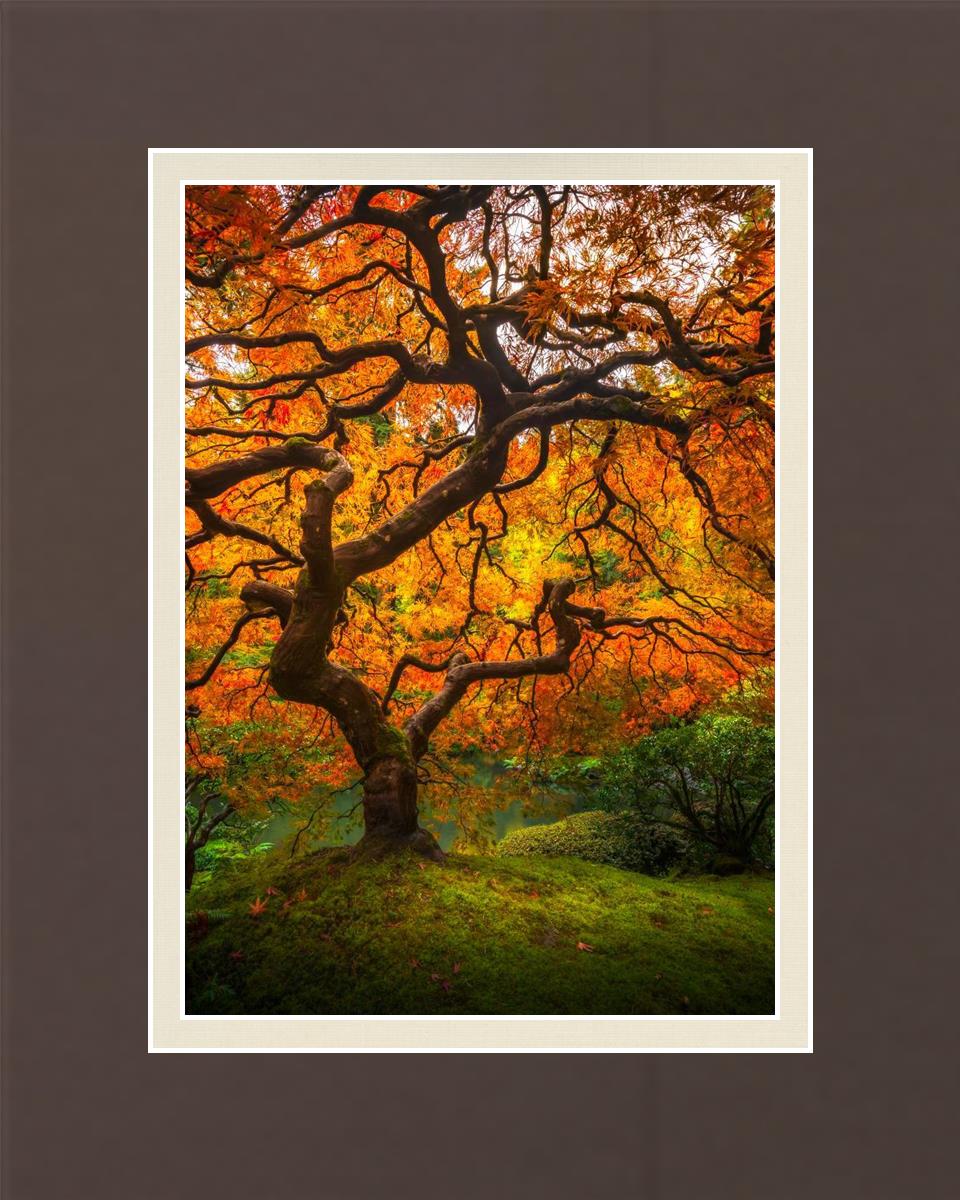 Tree of Perspective Vertical