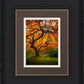 Tree of Perspective Vertical