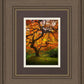 Tree of Perspective Vertical