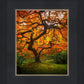 Tree of Perspective Vertical