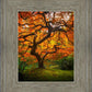 Tree of Perspective Vertical