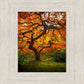 Tree of Perspective Vertical