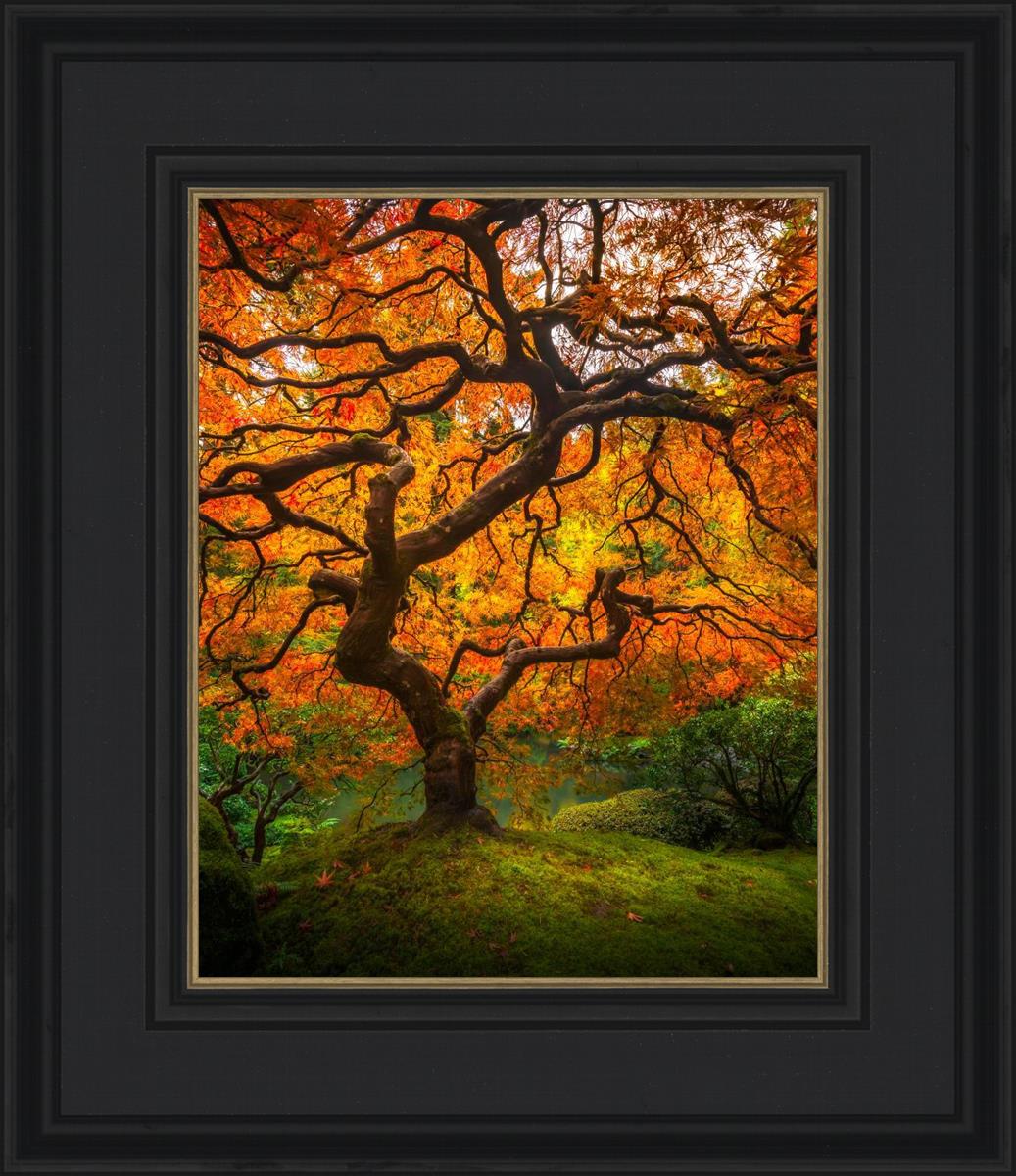 Tree of Perspective Vertical