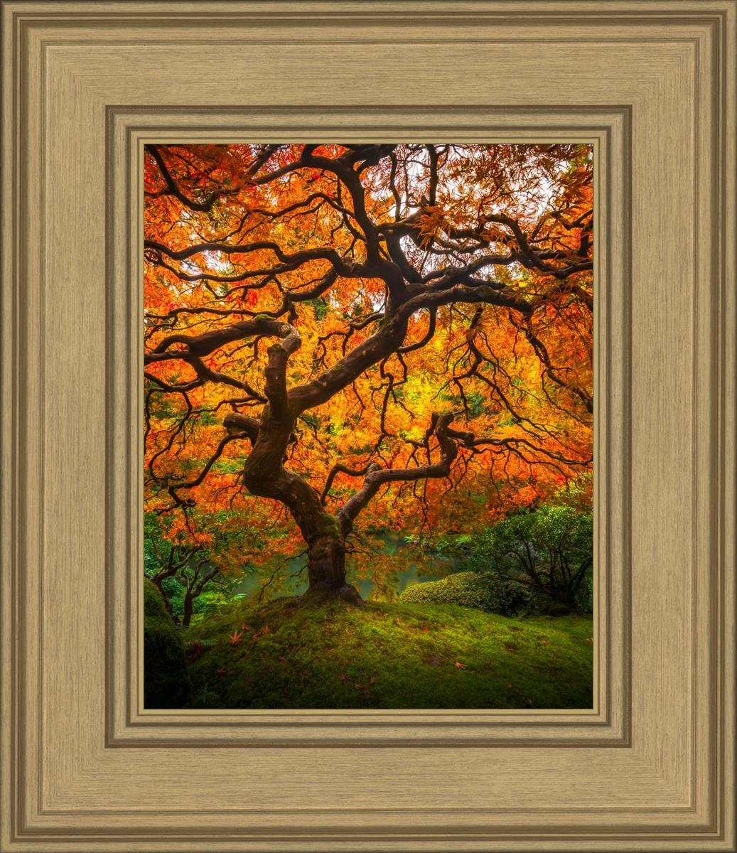 Tree of Perspective Vertical