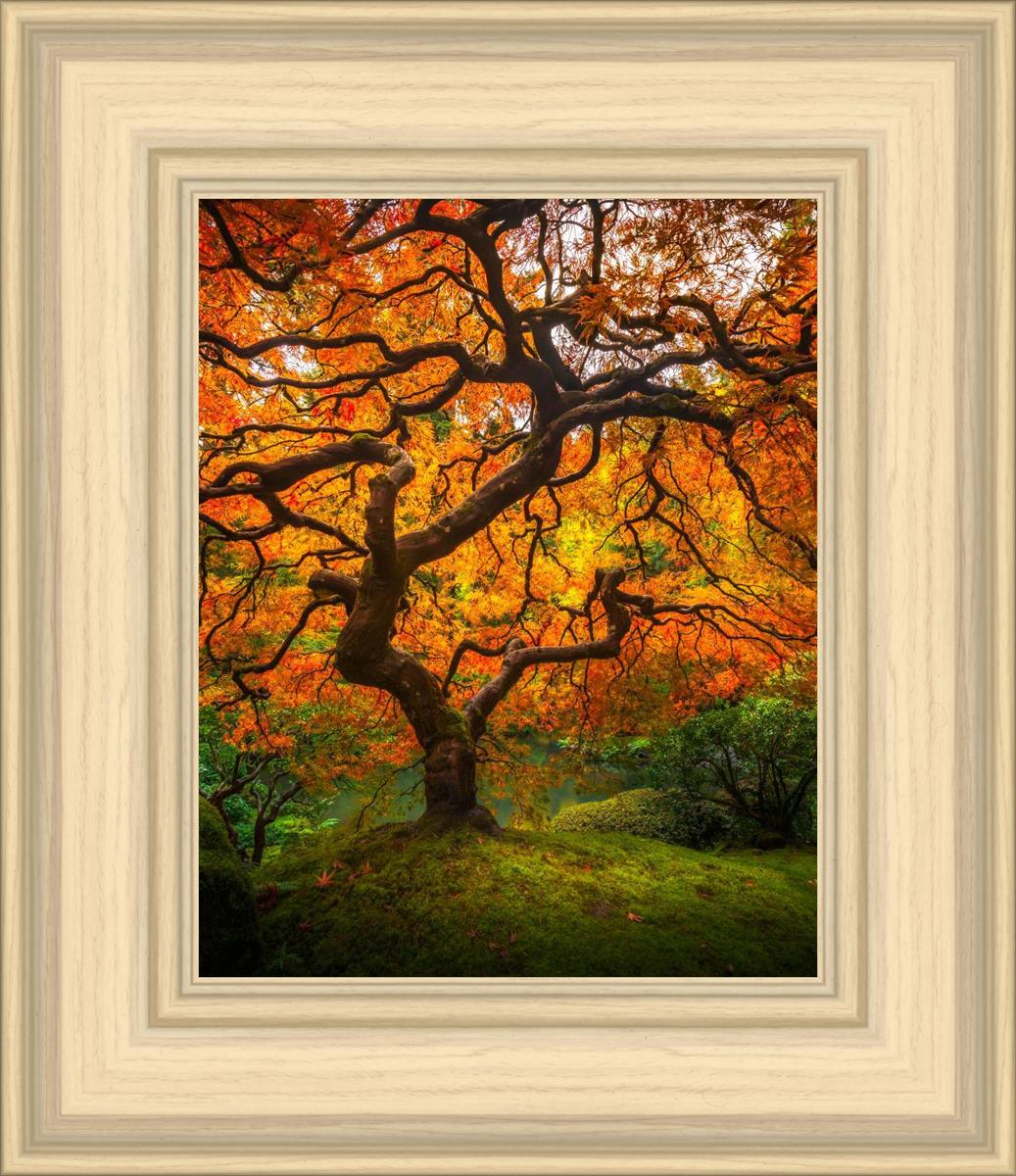 Tree of Perspective Vertical
