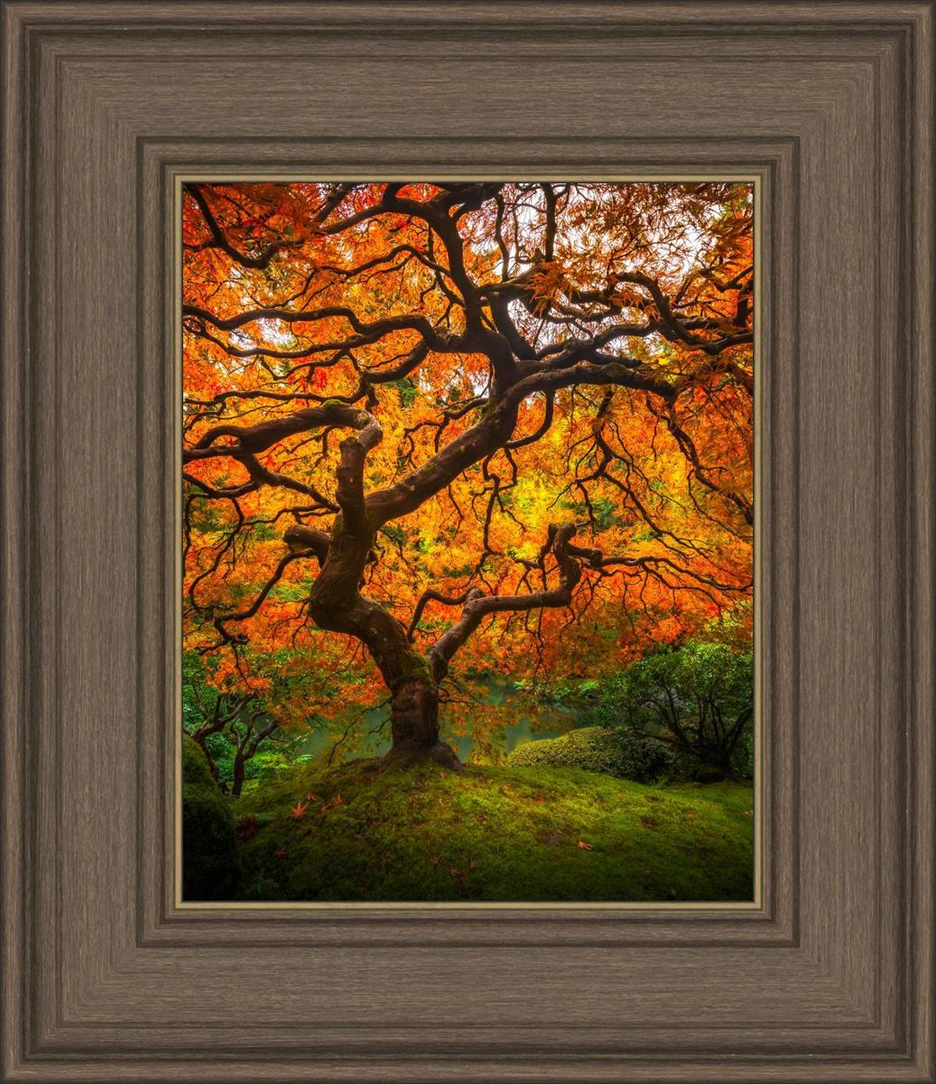 Tree of Perspective Vertical