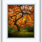 Tree of Perspective Vertical