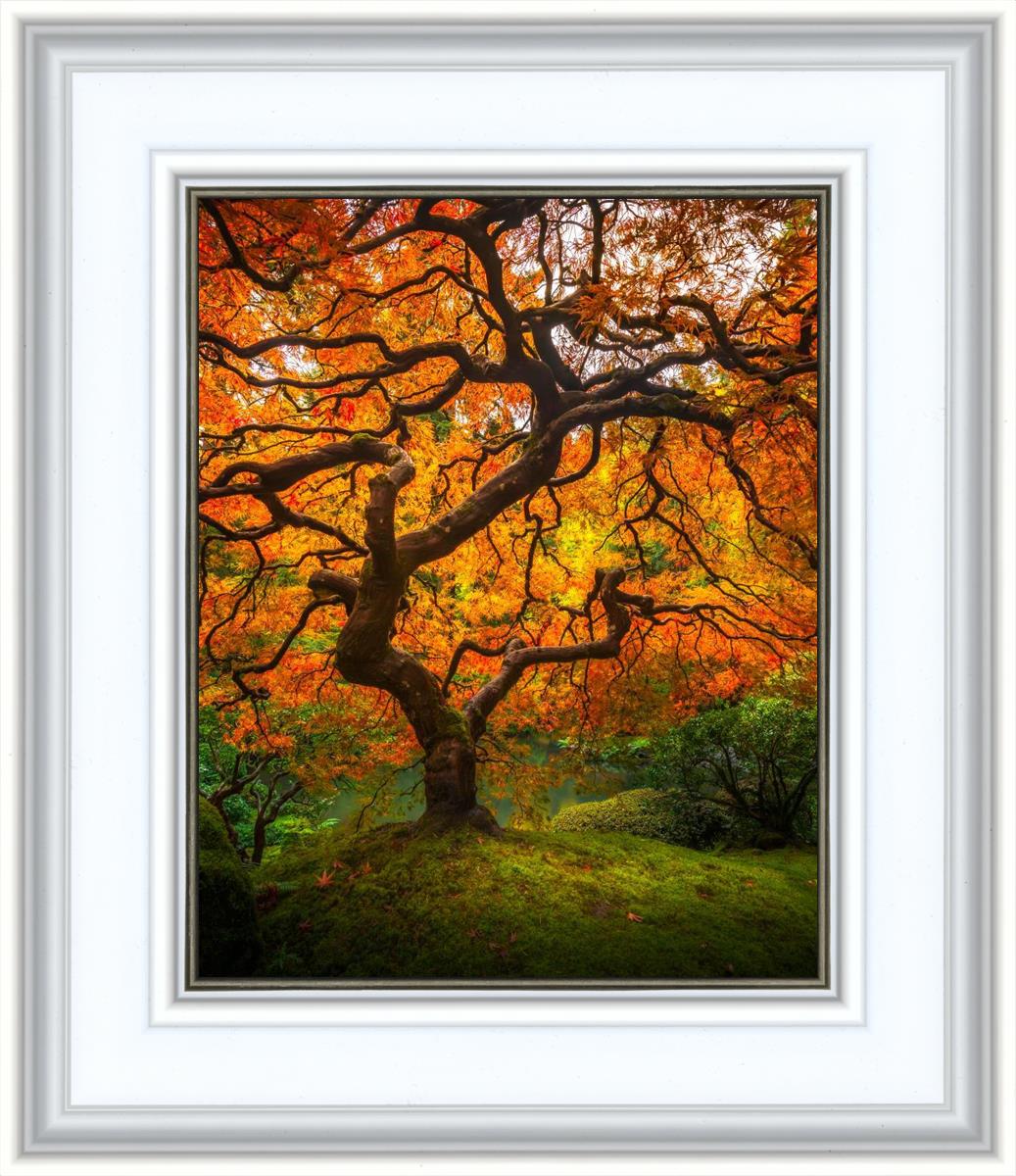 Tree of Perspective Vertical