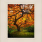 Tree of Perspective Vertical