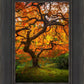 Tree of Perspective Vertical