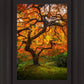 Tree of Perspective Vertical