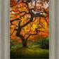 Tree of Perspective Vertical