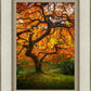 Tree of Perspective Vertical