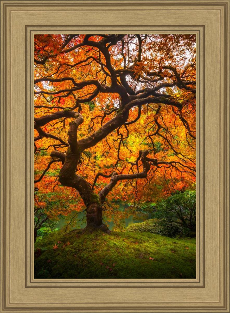 Tree of Perspective Vertical