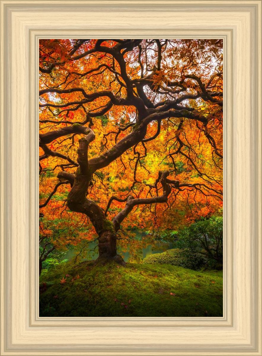 Tree of Perspective Vertical