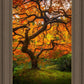 Tree of Perspective Vertical