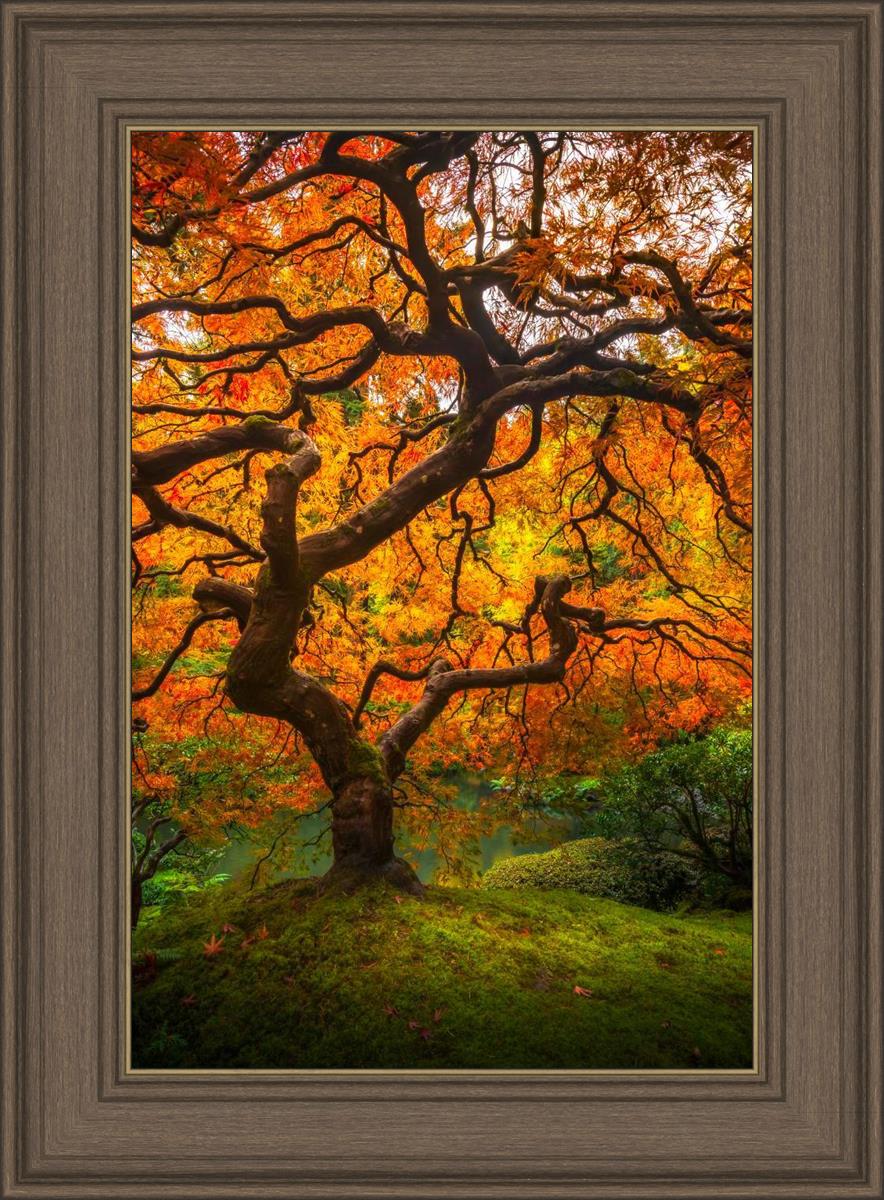Tree of Perspective Vertical