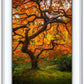 Tree of Perspective Vertical
