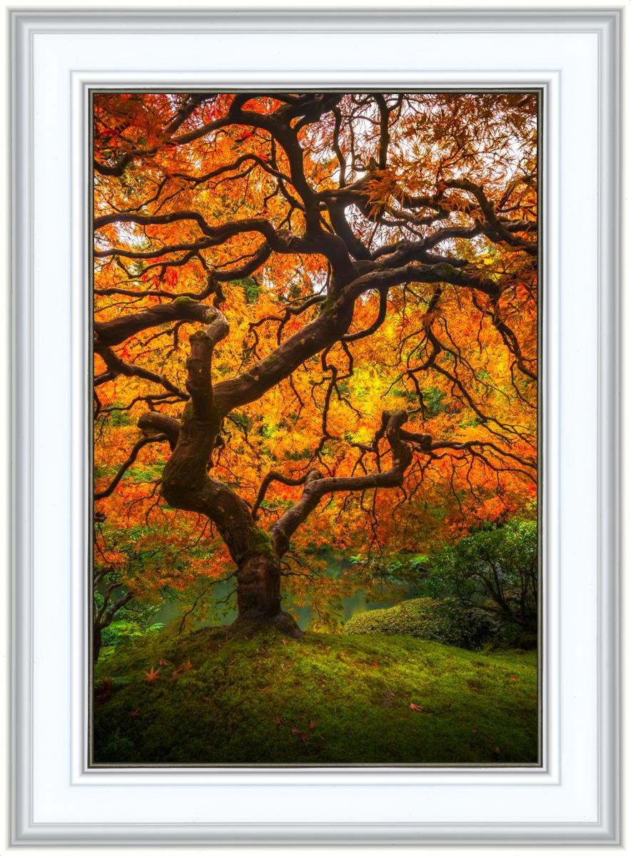 Tree of Perspective Vertical