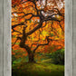 Tree of Perspective Vertical