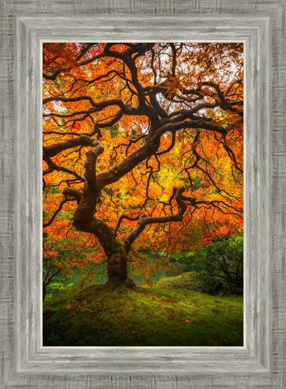 Tree of Perspective Vertical