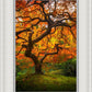 Tree of Perspective Vertical
