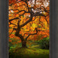 Tree of Perspective Vertical