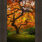 Tree of Perspective Vertical