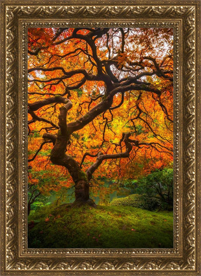 Tree of Perspective Vertical