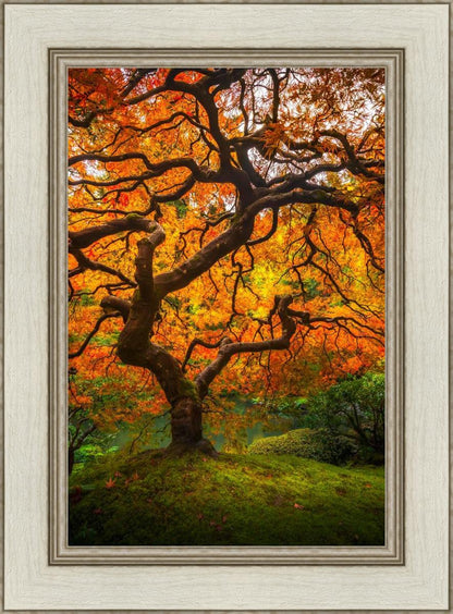 Tree of Perspective Vertical