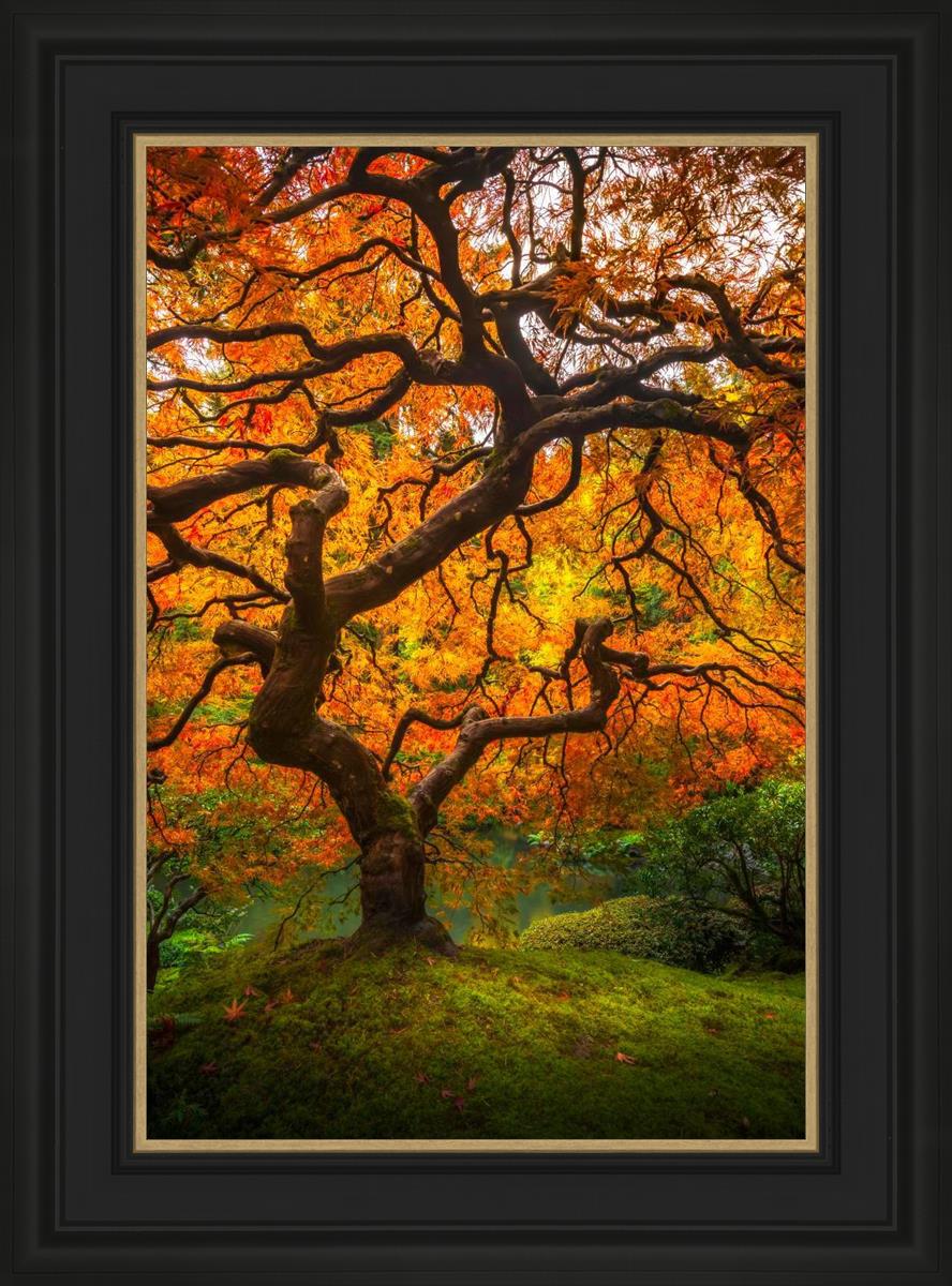 Tree of Perspective Vertical