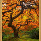 Tree of Perspective Vertical