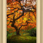 Tree of Perspective Vertical