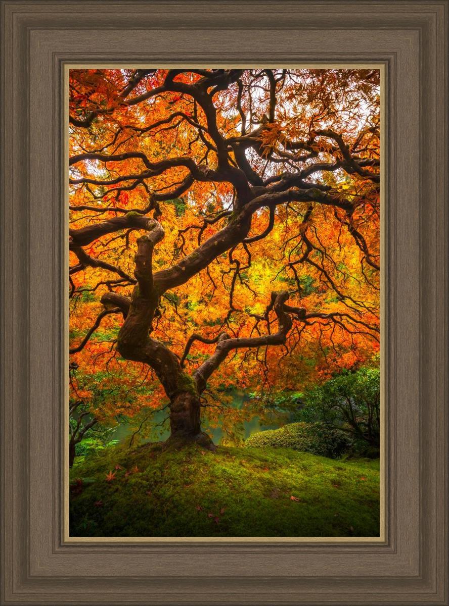 Tree of Perspective Vertical