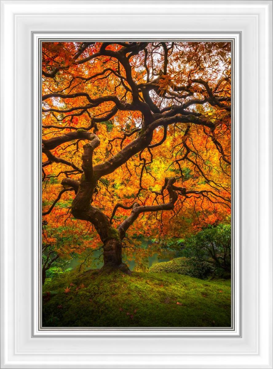 Tree of Perspective Vertical
