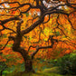 Tree of Perspective Vertical