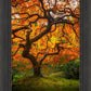 Tree of Perspective Vertical