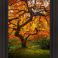 Tree of Perspective Vertical