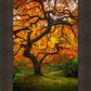 Tree of Perspective Vertical
