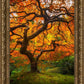 Tree of Perspective Vertical